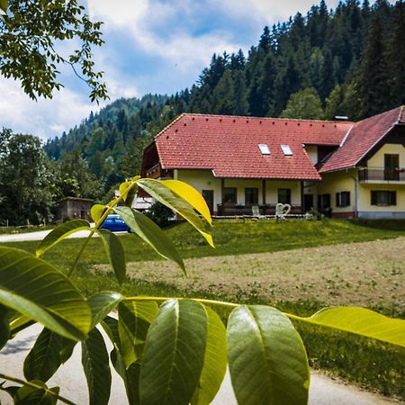 Farm Stay Loger Ljubno Экстерьер фото